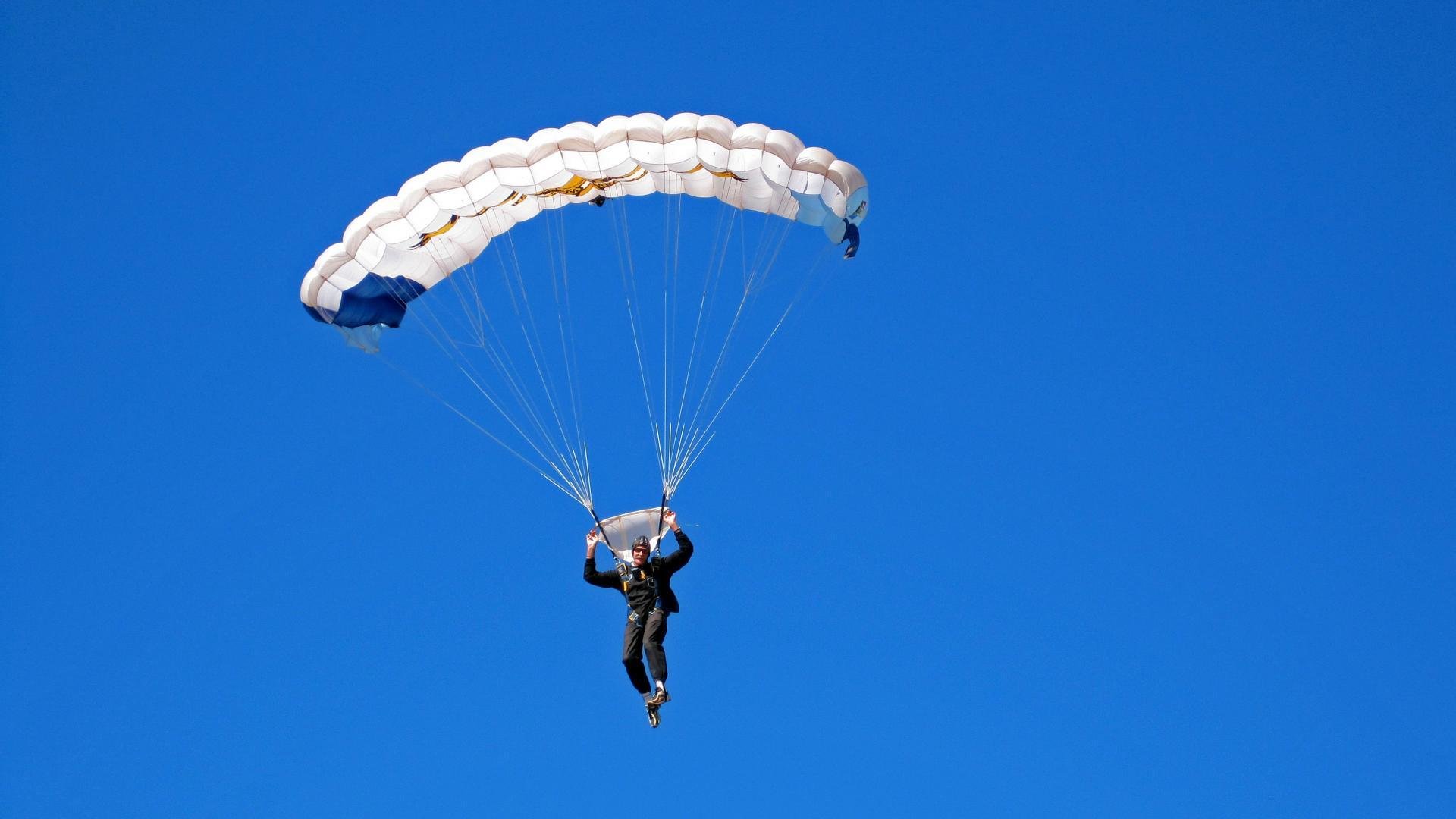 范弗利特指挥若定黄蜂蛰伤雄鹿，战术压制背后的完美风暴
